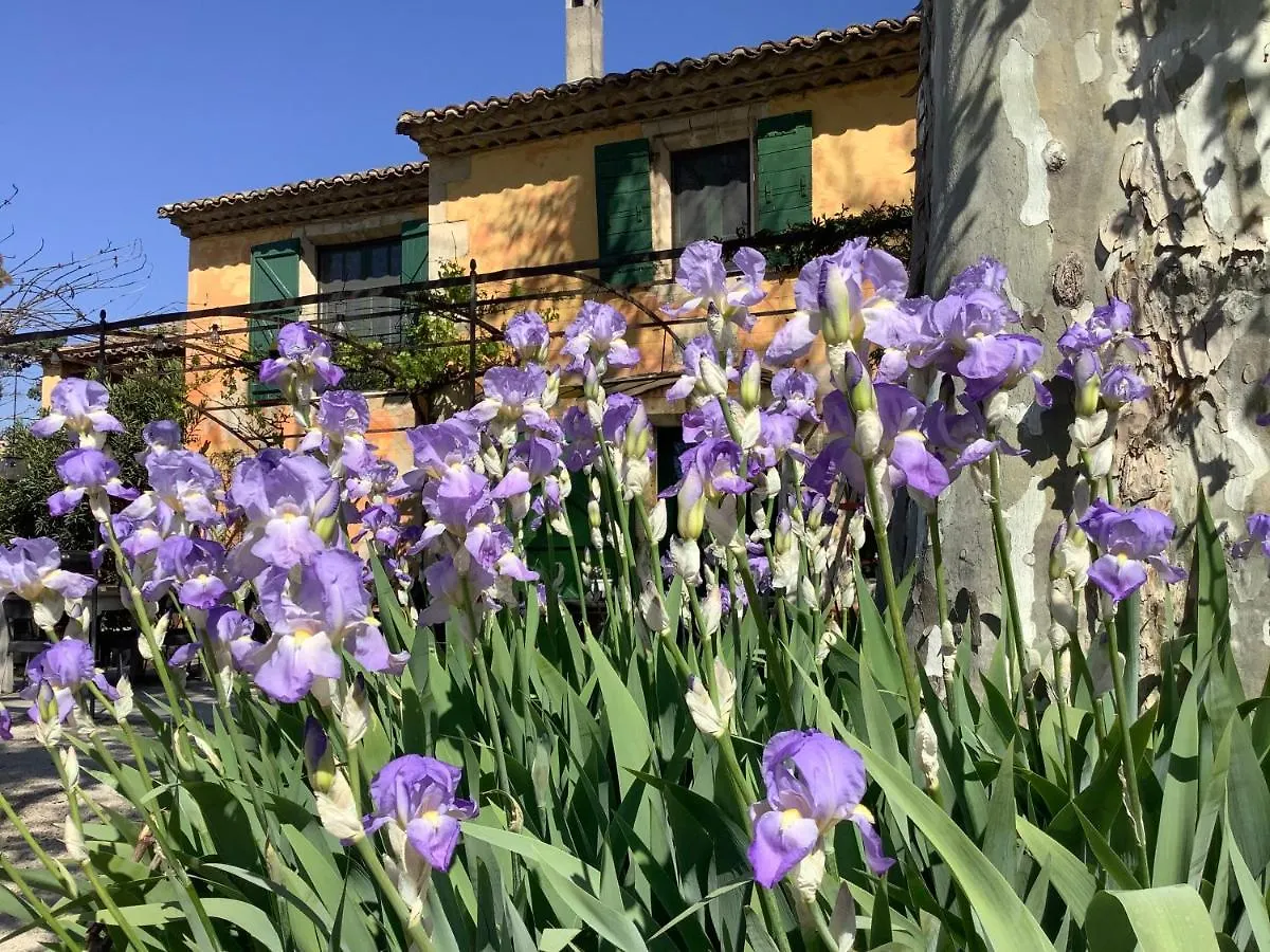 La bergerie de Castellan Bed and Breakfast Verquieres Bed & Breakfast